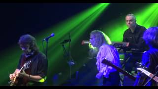 Steve Hackett-The Return of the Giant Hogweed Multi Angle (Live Royal Albert Hall London 24/10/2013)