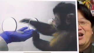 【サル研究】サル社会に貨幣を流通させた実験、サル頭良すぎww、人類最古のビジネスがサル社会で始まる、、【岡田斗司夫 切り抜き】