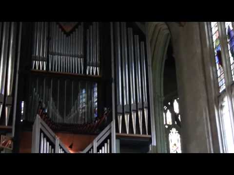 Organ in the Chapel. Graduation Ceremony. 2009-10-02, New College, Oxford