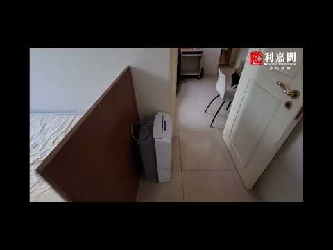 Caribbean Coast Youtube Video