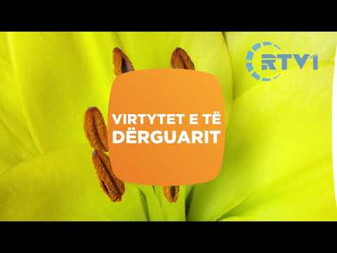 Si i kishte floket Muhamedi alejhi selam ? Hadithe per cilesite e Muhamedit alejhi selam