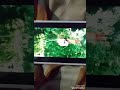 The Incredibles Funny Scream Sound Effect