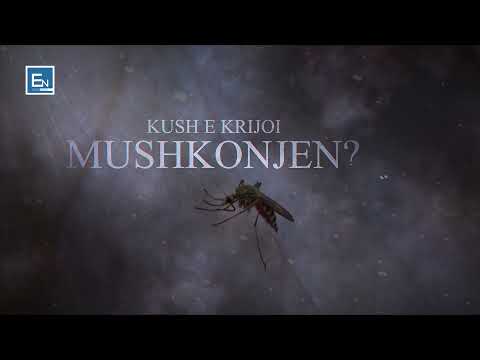 Shembulli i mushkonjes i permendur ne Kur’an! Fakte Mahnitese