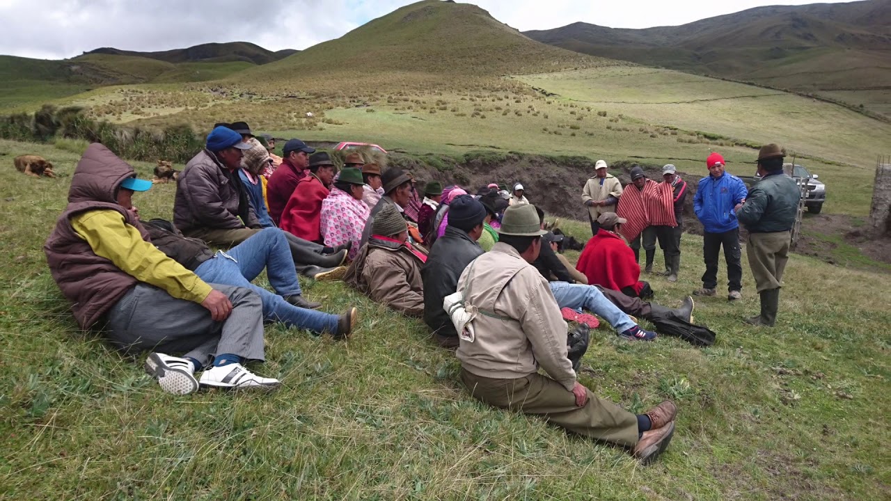 Recuperación de páramos en Rumichaca- Provincia de Cotopaxi