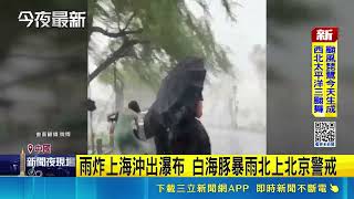 白海豚二登中國浙江海水倒灌 上海先淹暴雨直逼北京 華東百萬人撤離｜三立新聞網 SETN.com