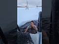 Rakul Prith Sing In Ice Water Rakulpreetsingh Hot