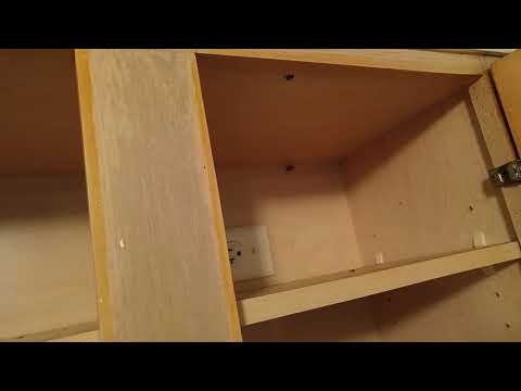 Cockroach Clean Out Throughout the Kitchen in Freehold, NJ