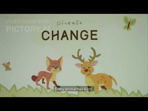 動物魔法！✨ (Animal Magic)