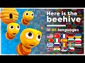 Here Is The Beehive All Languages Multilanguage Kids Song Hey Kids Worldwide