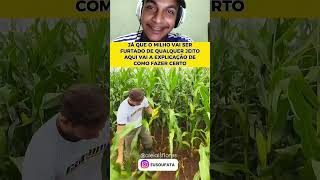 O agricultor mandou o papo 🤣🤣 #react #memes
