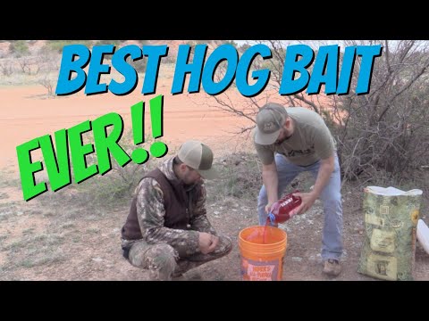 , title : 'Easy DIY Hog Bait | GUARANTEED to bring in wild hogs!!!'