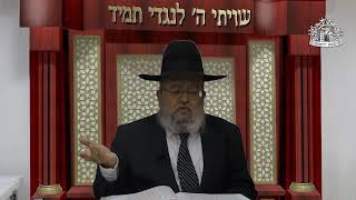 דף היומי בחצי שעה - עירובין דף י"ז