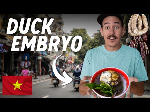 , title : 'EATING LIKE A LOCAL (Hanoi Street Food Tour ) 🇻🇳 Vietnam Vlog'