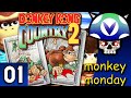 Vinesauce Joel Monkey Mondays Donkey Kong Country 2 Part 1