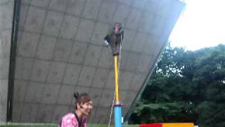 preview picture of video 'Actuación de un macaco japonés en la Torre de Tôkyô.'