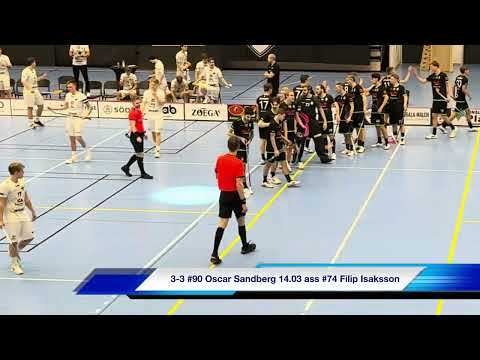Div.1 Herrar södra Götaland Åstorp/Kvidinge IBS - Hovshaga AIF 7-6