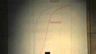 Dr.Rasheed [Proteins] 19/12/2013