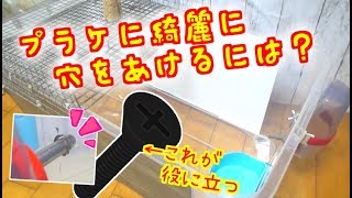 ラット達のゲージを作る☆綺麗・簡単にプラケの穴を開けるコツを教えます！(ゆっくり実況音声あり)