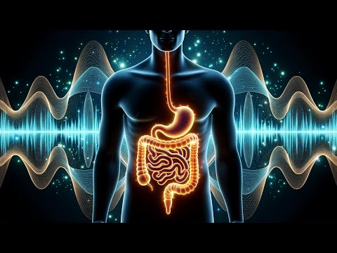 Binaural Beat Frequency for the Digestion System and Intestines