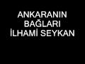 ANKARANIN BAĞLARI 