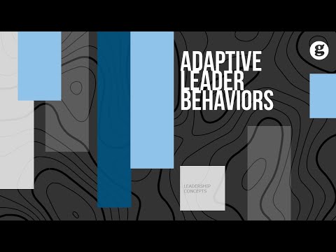 Adaptive Leader Behaviors