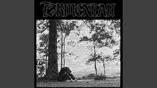 The Forests of the South