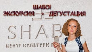 preview picture of video 'ШАБО! ЗАСТРЯВШИЕ В ШАБО... (МАРИНА ТЕЛЬНИК)'