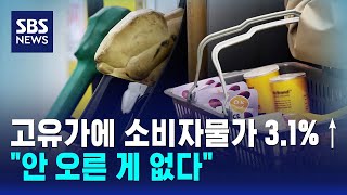 고유가에 소비자물가 3.1%↑.."안 오른 게 없다" / SBS