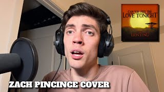 Can You Feel the Love Tonight (Elton John) | Zach Pincince Cover