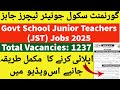 Govt Junior School Teachers Jobs 2025 Announced New Government School Teachers Jobs 2025