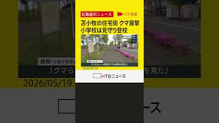 「クマらしい４足歩行する動物を見た」深夜の住宅街で目撃通報　小学校は見守り登校　苫小牧市