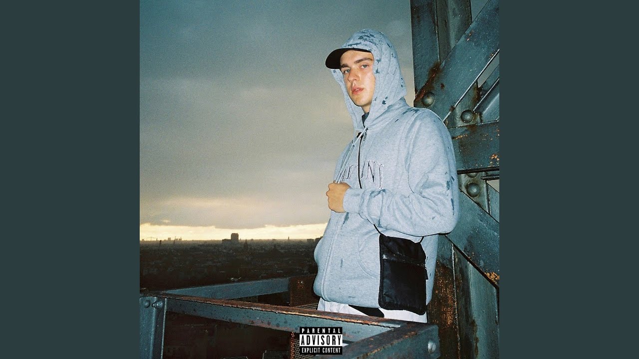 Cover for the song 'Festnetz' by artist(s) 'Dead Dawg, BHZ, Monk'