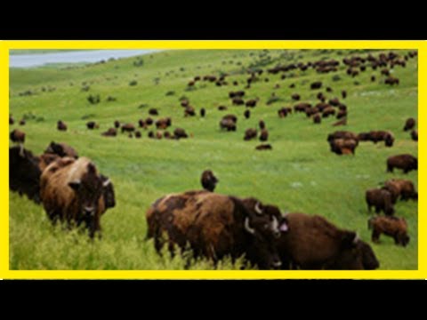 Highway durch die prärie (1/2)