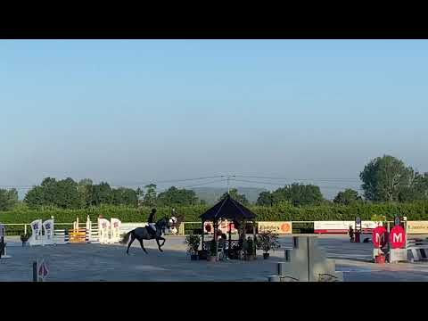 HOOVER DE HUS 4YO & PAULINE PARIS - SHF TOUR 2021
