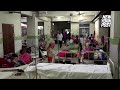 Bangladesh Dengue Outbreak Sparks Alarm After Killing 364 People In 2023