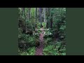 Forest Rain Ambience