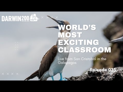 World's Most Exciting Classroom Episode 35: Live from the Galapagos