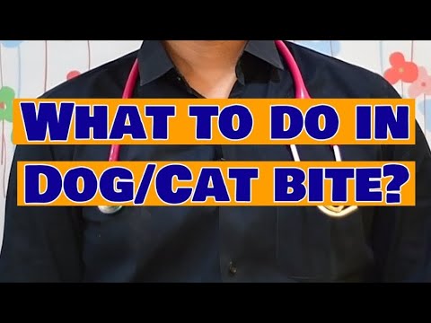 What do in dog/cat bite? by DR Srinivas.R @BRIGHTHOSPITAL TADIGADAPA VIJAYAWADA #viral #trending