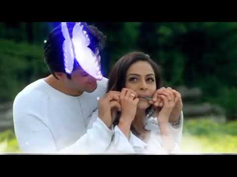 jabse Dekha tumko Hum khoye khoye - | Fardeen & Richa | kumar Sanu & Alka