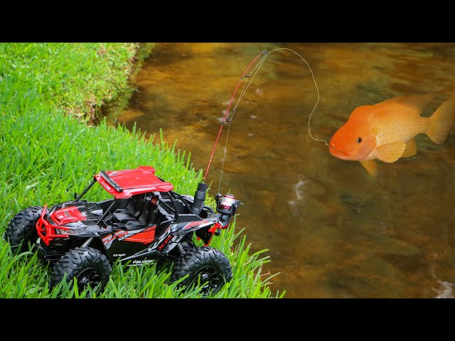 Toy Truck Catches MASSIVE COLORFUL FISH For **JAWS FOOD**