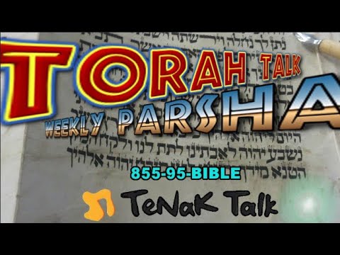 Weekly Torah Portion - Parshat KORACH with Rabbi Rafi Mollot - 1619