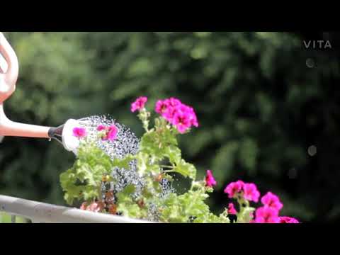 flower gurden in the water | flower in the water #shorts