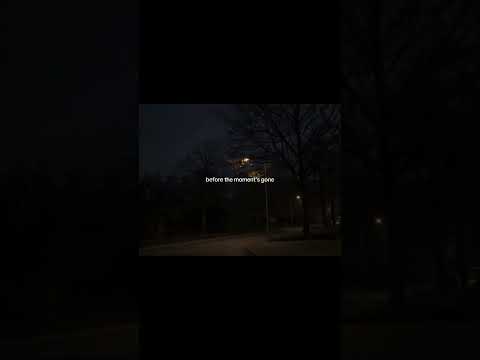 before the moment's gone  #lyrics #musicvibes #arcticmonkeys #no1partyanthem #relatable #love