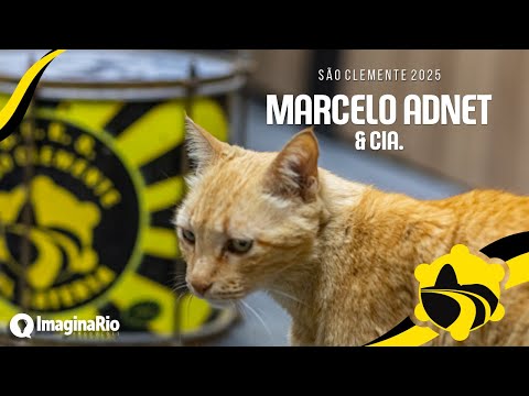 São Clemente 2025 (Samba Concorrente) Marcelo Adnet & Cia