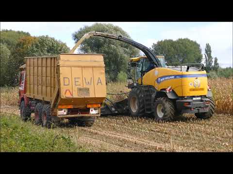 New Holland FR 850 - Van Mulders landbouw- en grondwerken - mais hakselen, maize harvest,