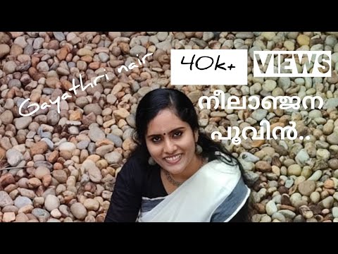 Neelanjana poovin | നീലാഞ്ജന പൂവിൻ | Paithrukam | Malayalam Melodies | Lullaby |