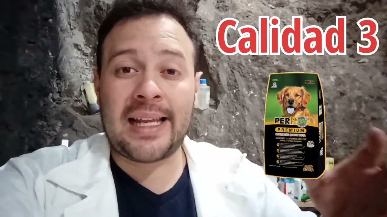 Calidad en croquetas para perros