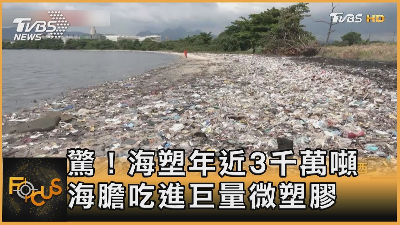 驚!海塑年近3千萬噸 海膽吃進巨量微塑膠