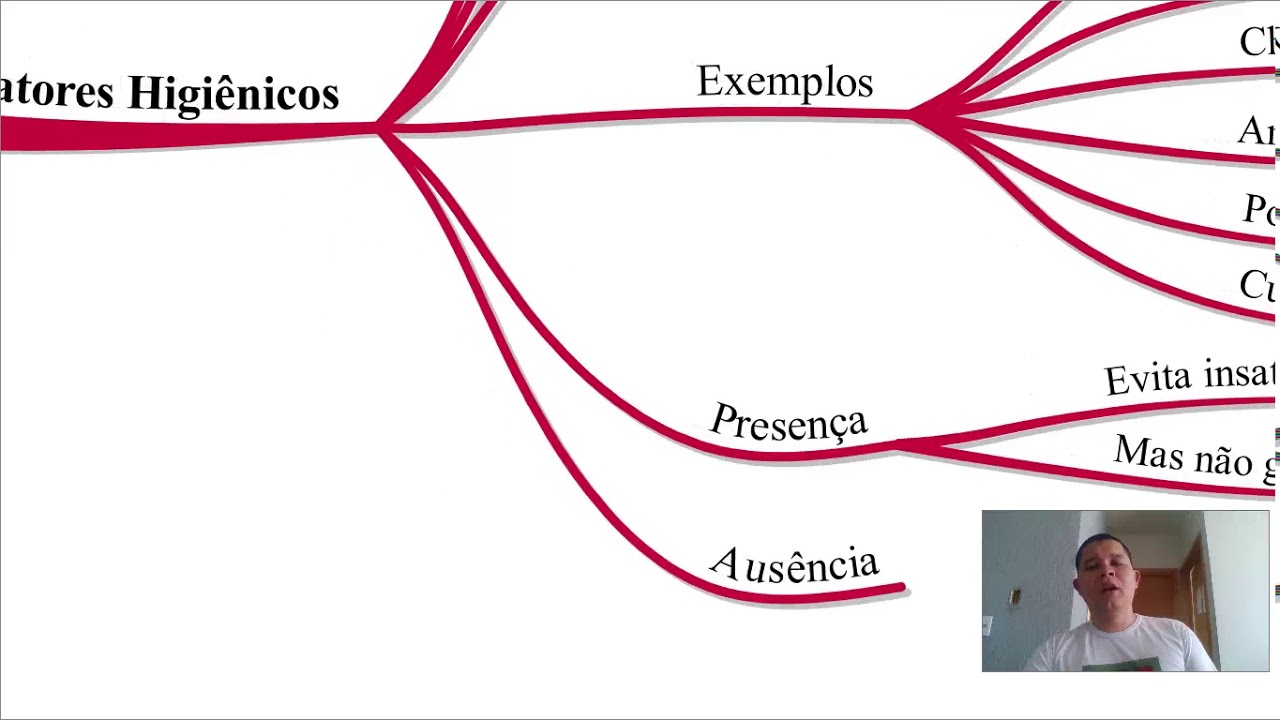 Aula 3 - Teoria dos 2 fatores de Herzberg