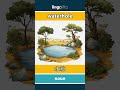 waterhole - 水坑 video thumbnail